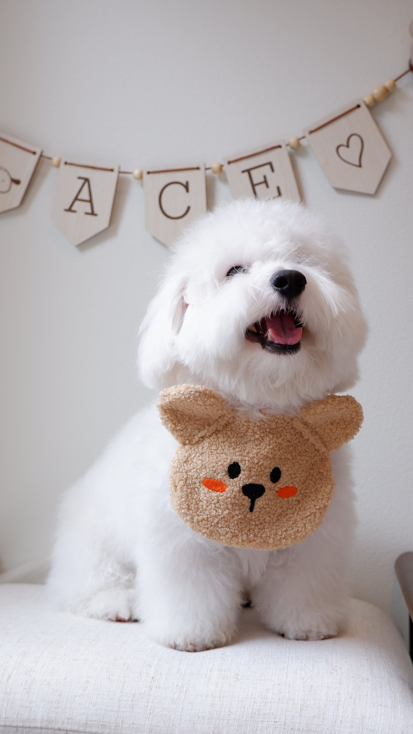 TEDDY