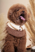 Dottie Boy