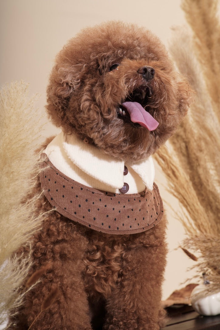 Dottie Boy