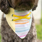 Popsicle Bandana (No Ruffle)