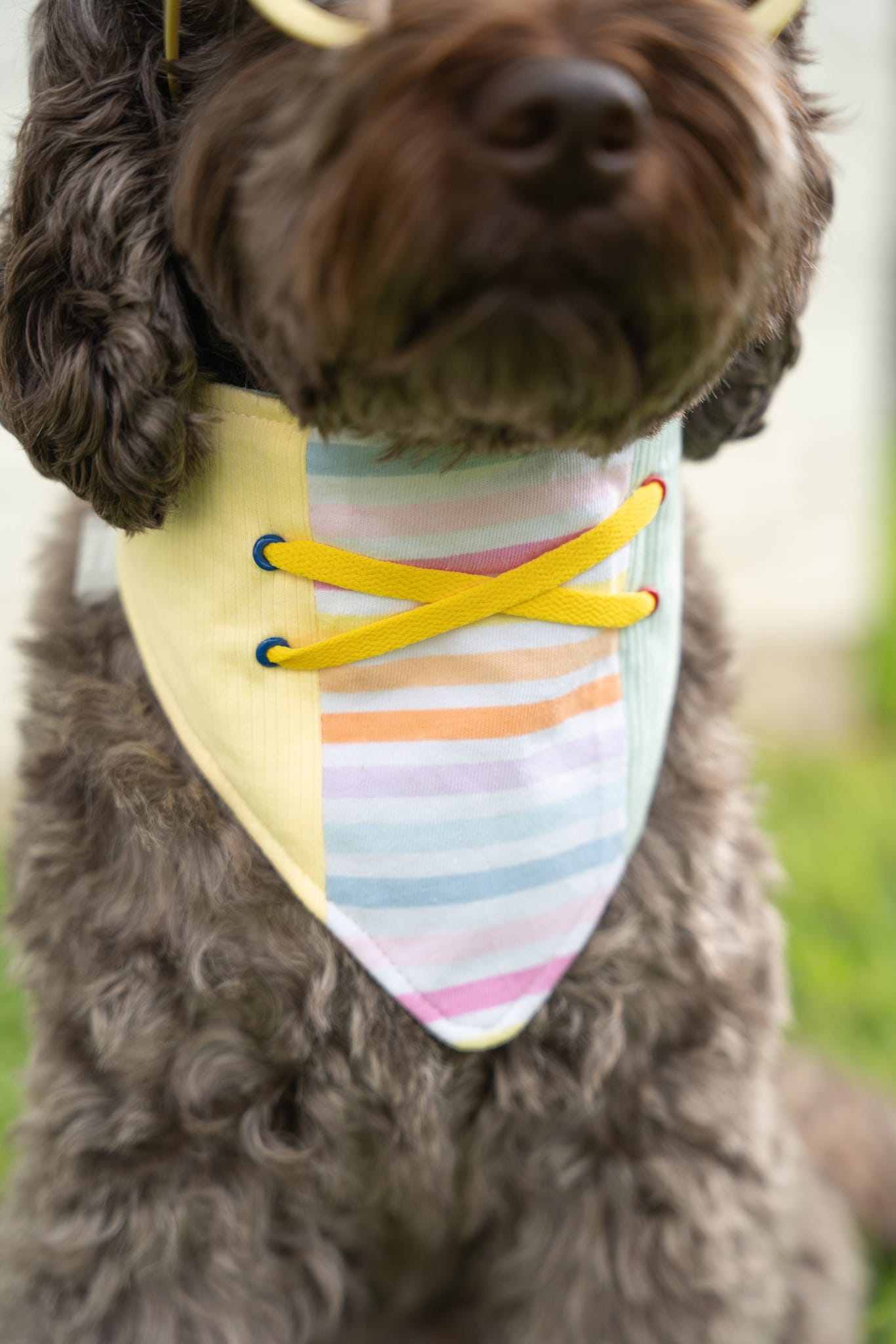 Popsicle Bandana (No Ruffle)