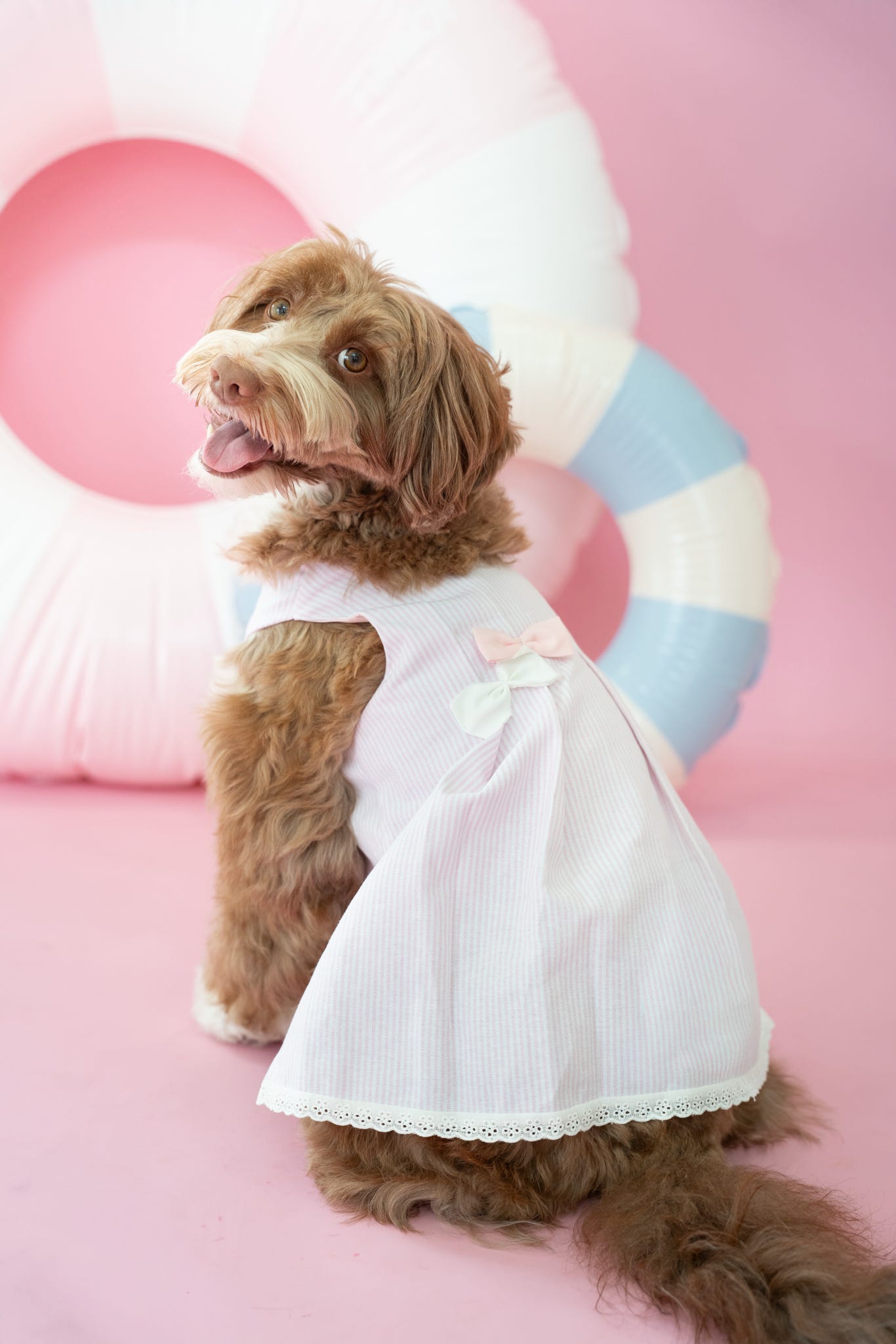 Summer Girl Dress