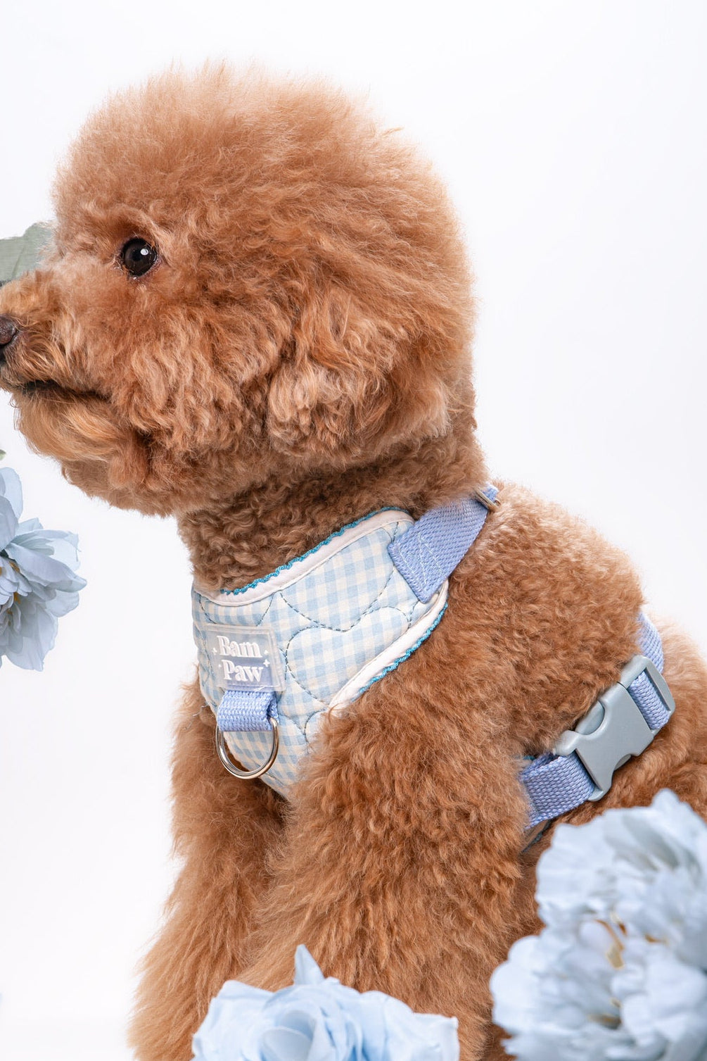 Quilted Gingham Heart Blue Adjustable Neck HARNESS