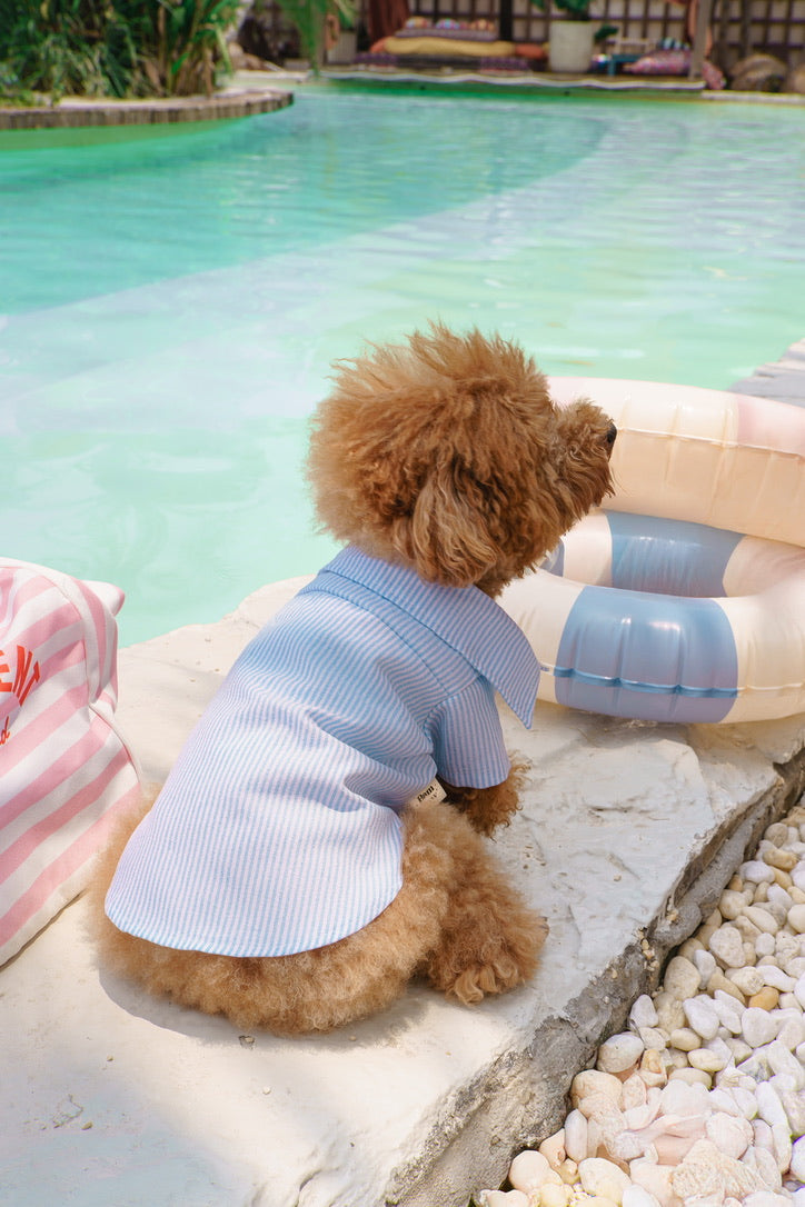Summer Boy (2 in 1 Shirt)
