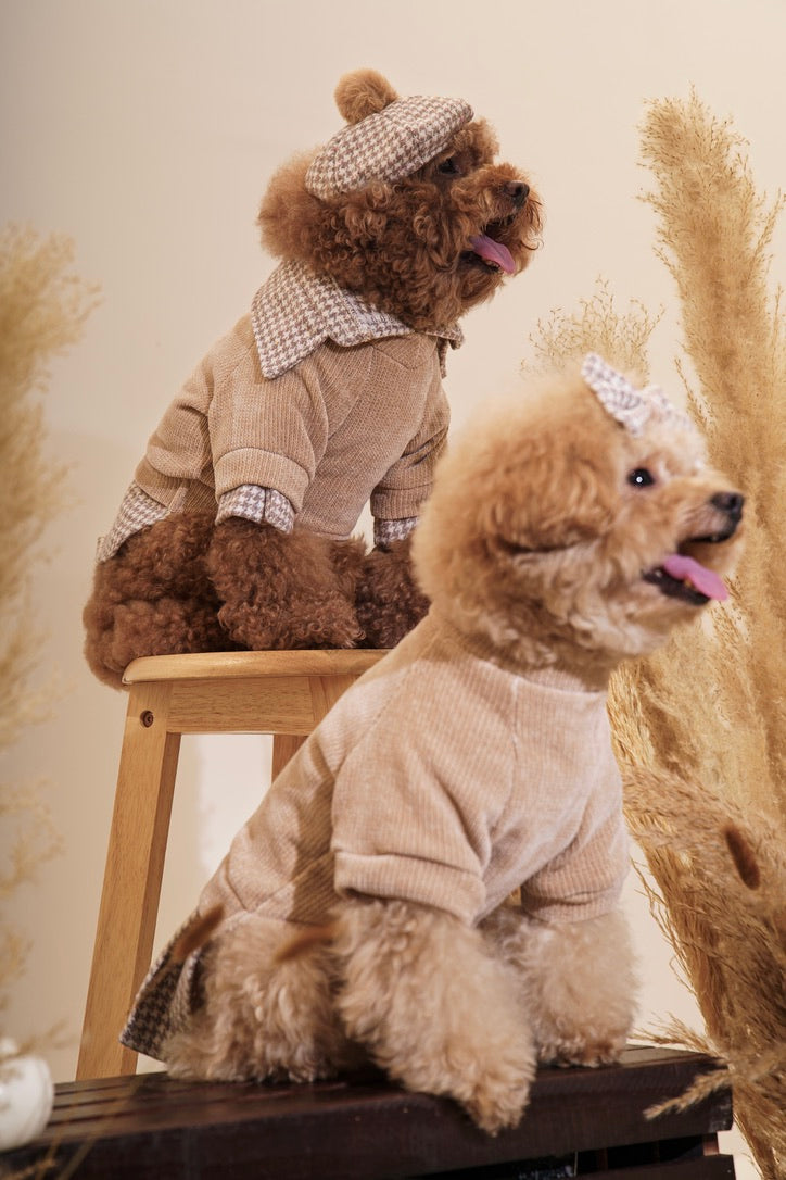 Toffee Sweater Dress