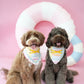 Popsicle Bandana (Ruffle)