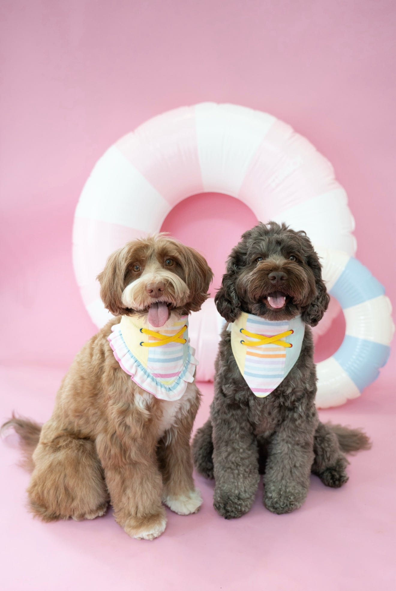 Popsicle Bandana (Ruffle)