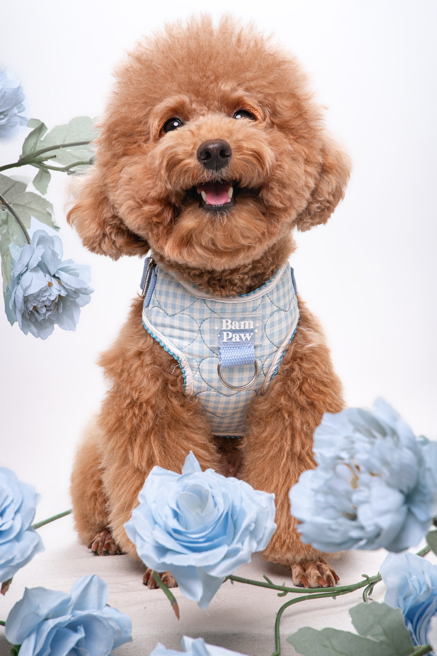 Quilted Gingham Heart Blue Adjustable Neck HARNESS