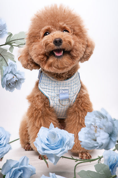 Quilted Gingham Heart Blue Adjustable Neck HARNESS