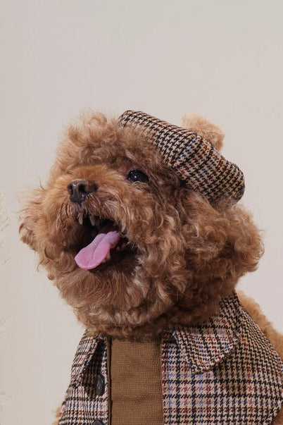 Oxfordshire Beret