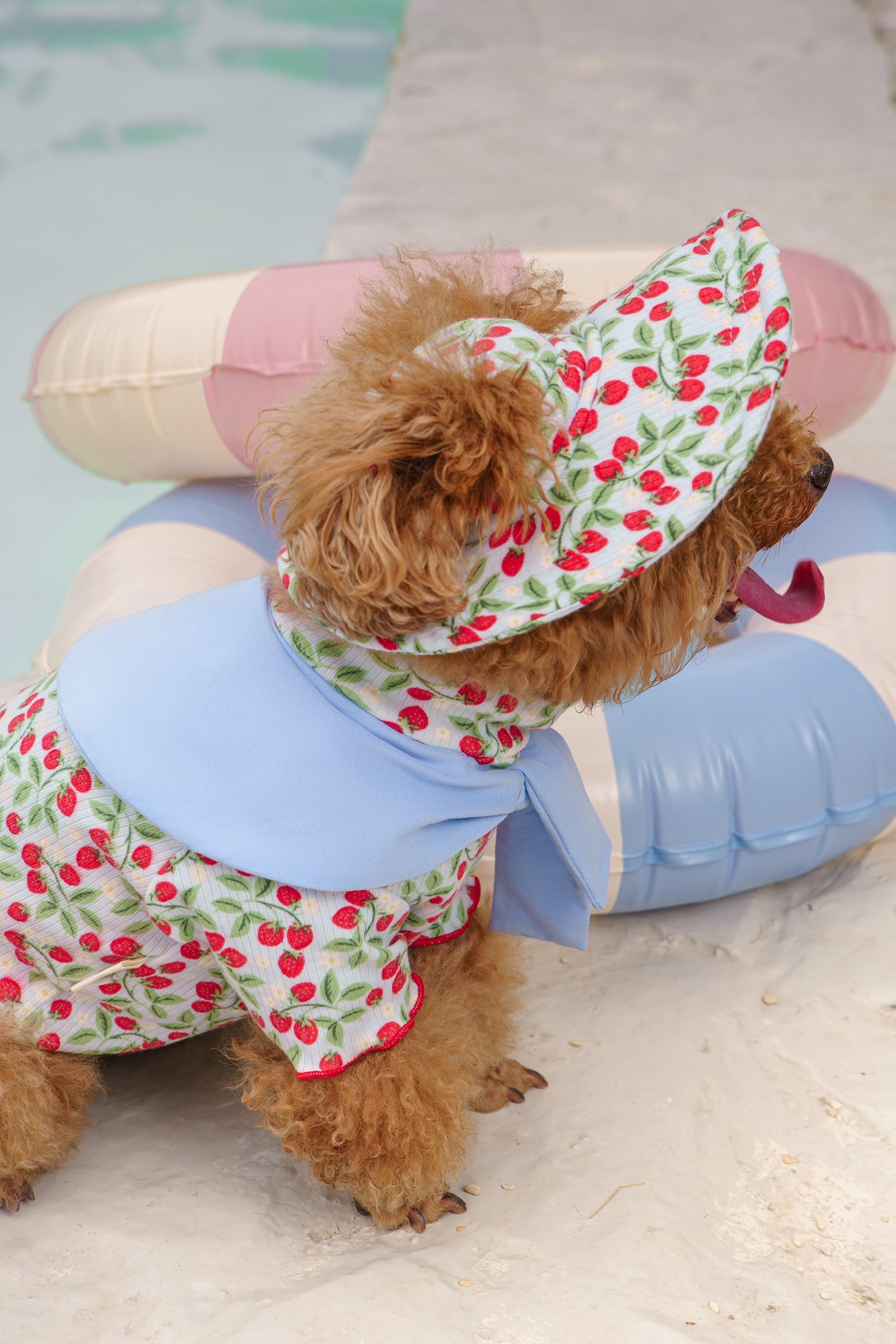 Bucket Hat - Summer Berry
