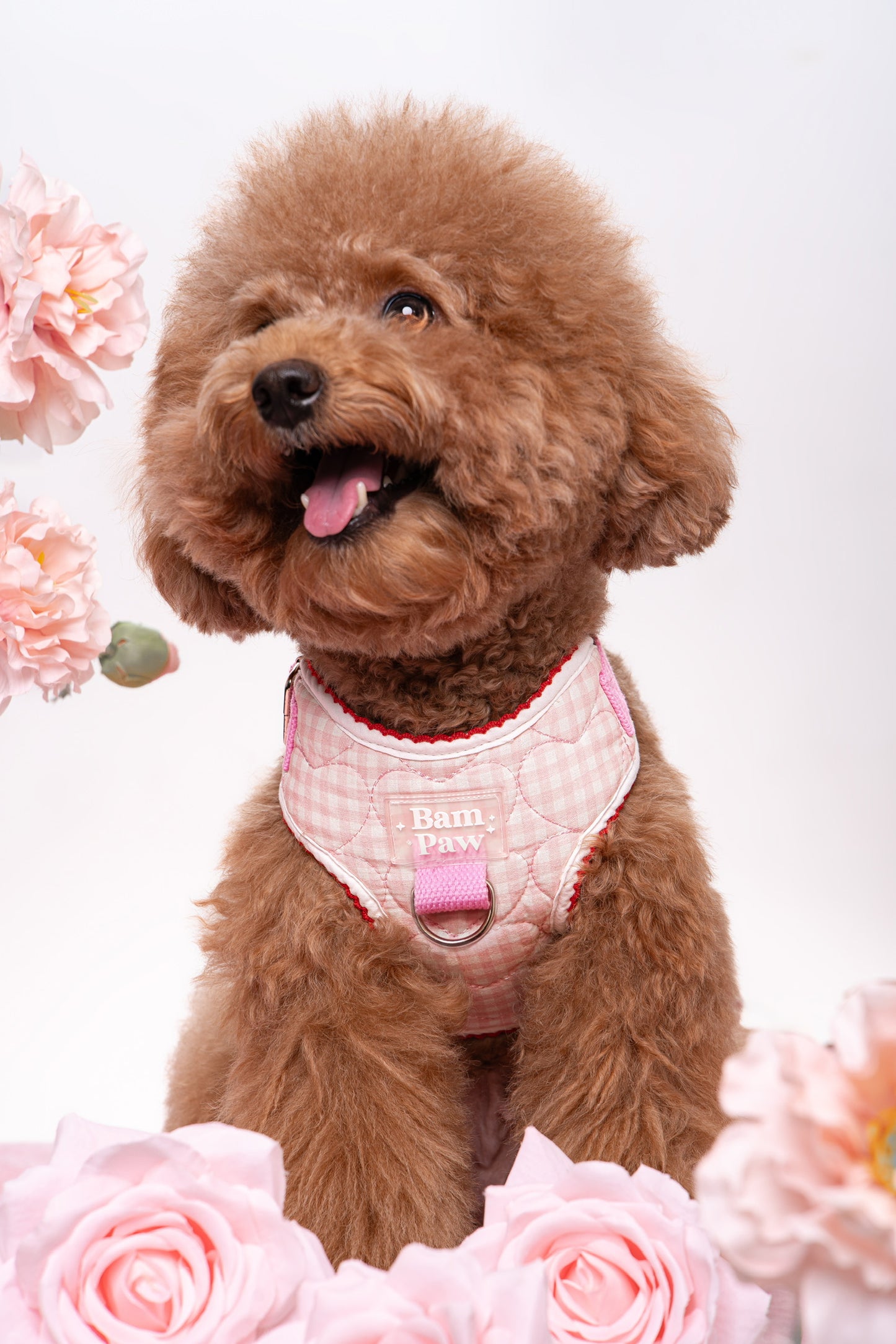 Quilted Gingham Heart Pink Adjustable Neck HARNESS