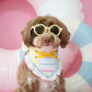 Popsicle Bandana (Ruffle)