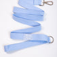 Blue Dog Leash