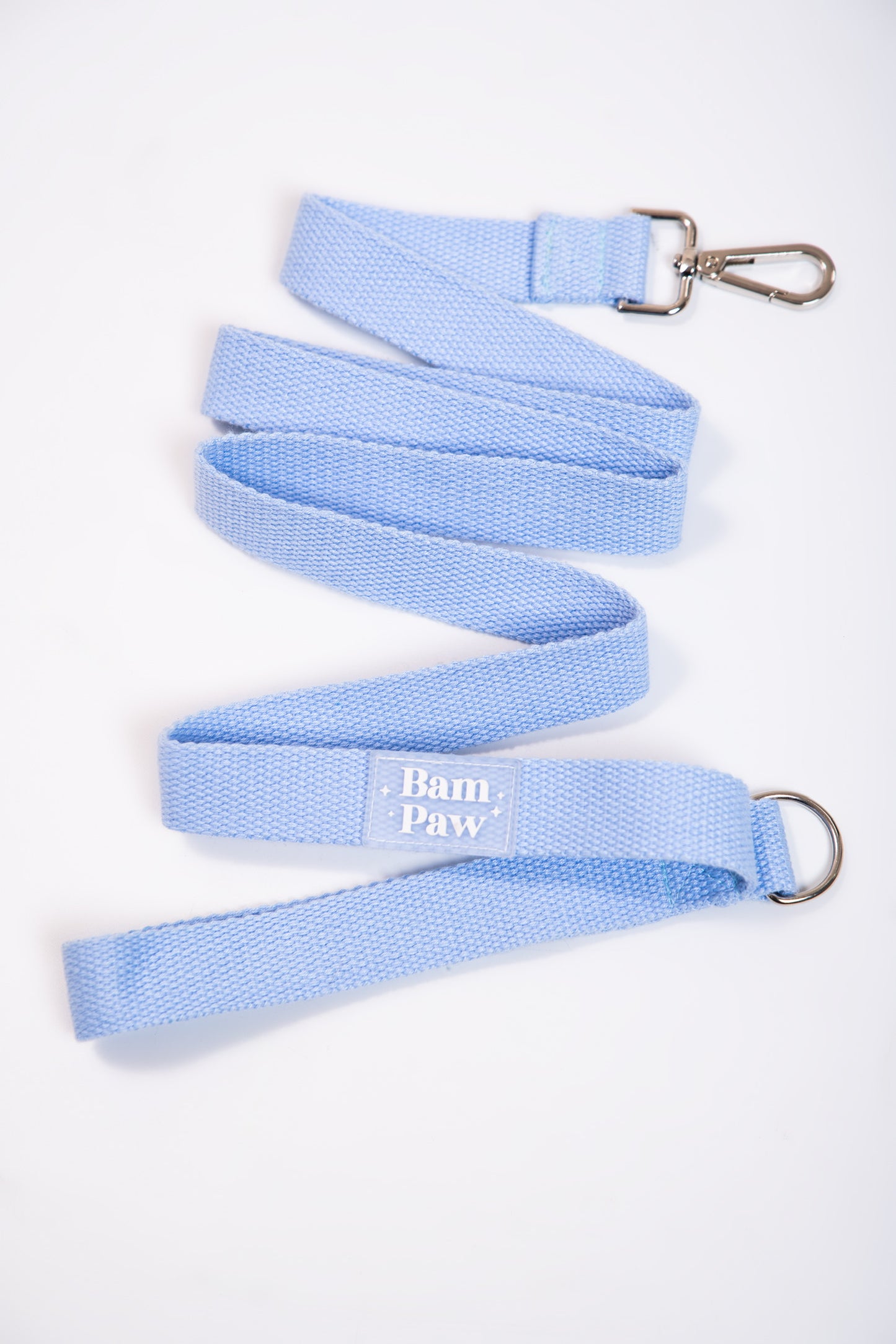 Blue Dog Leash