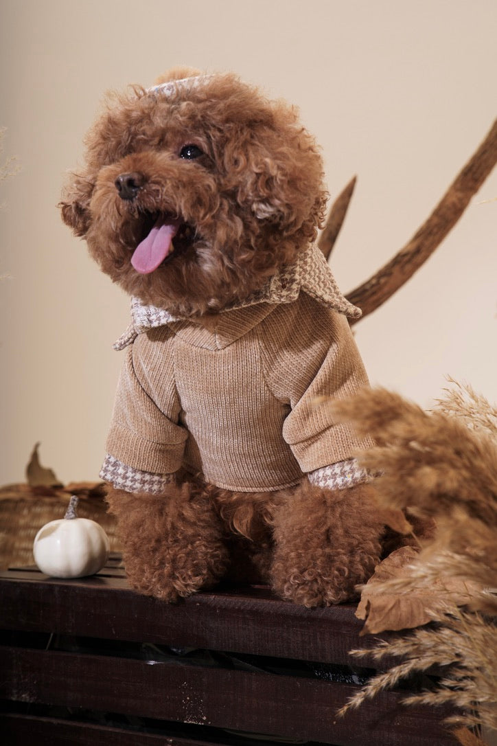 Toffee Sweater Shirt
