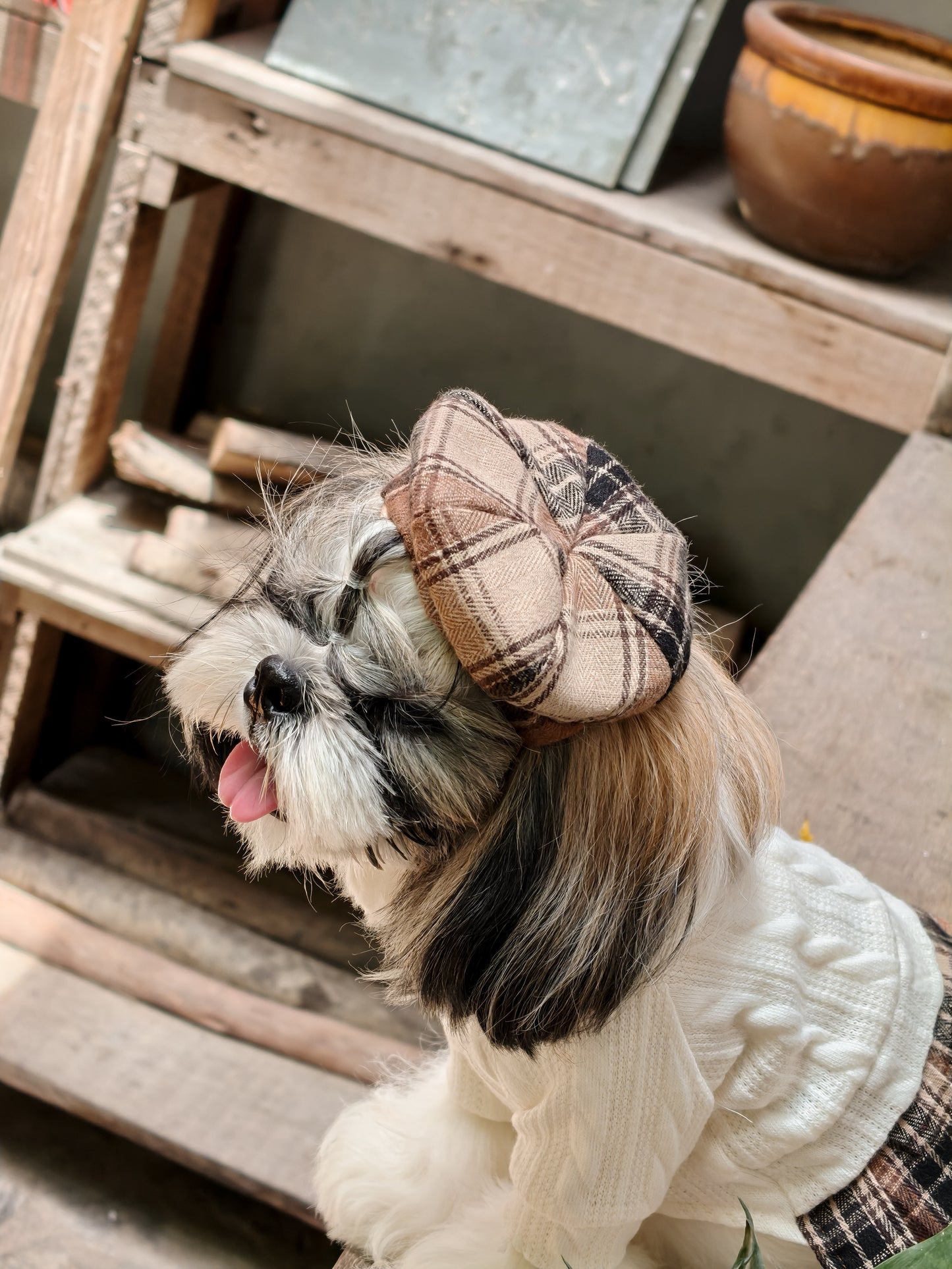 Fall Beret